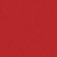 WBN530/320 RUBY