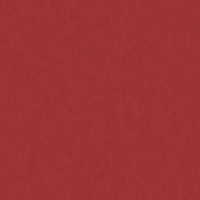 WBN532/320 RED