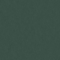 WBN553/320 DARK GREEN