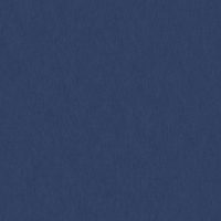 WBN565/320 BLUEBERRY