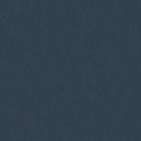 WBN569/320 PARIS BLUE