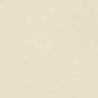 WRN901 VANILLA