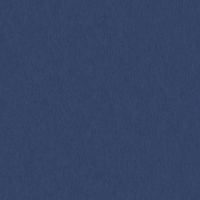 WRN919 BLUEBERRY