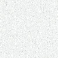 WRW917 WADI WHITE